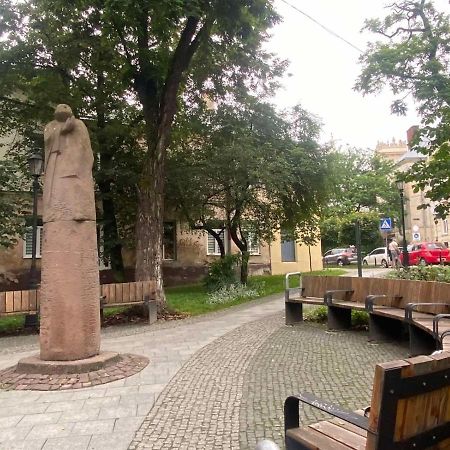 Вірменська 14 Центр З Балконом Не Далеко Від Ж Д Вокзалу Звітні Документи Apartment Liov Exterior foto